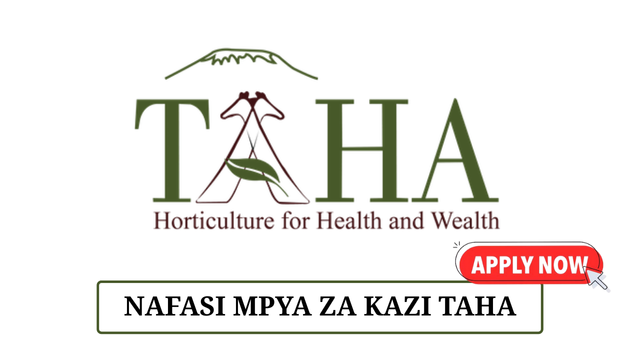 Customer Relations Assistant at TAHA May 2025