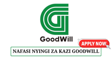 Goodwill Ceramics New Job Vacancies 2025