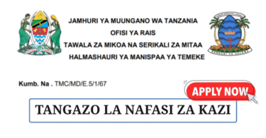 Temeke Municipal Council Driver Job 2025