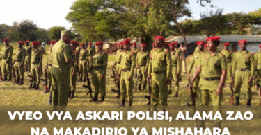 Vyeo vya Askari Polisi, Alama Zao na Makadirio ya Mishahara