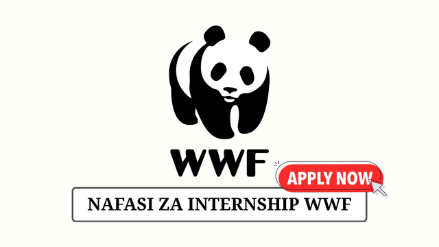 WWF Tanzania Internship opportunities 2025