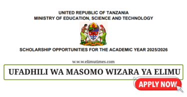 Wizara ya Elimu Scholarships 2025 – Study Abroad Opportunities for Tanzanians