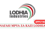 Accountant Officer at Lodhia Industries May 2025
