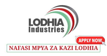 Accountant Officer at Lodhia Industries May 2025