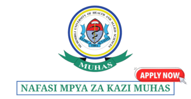 Admin and Finance Officer Vacancies at MUHAS May 2025