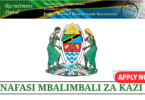 Ajira Recruitment Portal Various Vacancies 2025