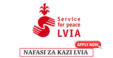Assistant Accountant at LVIA May 2025