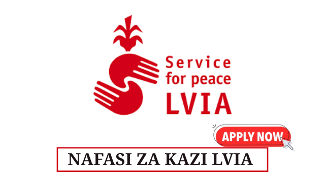 Assistant Accountant at LVIA May 2025