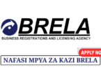 BRELA Tanzania Vacancies – May 2025