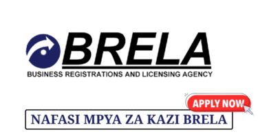BRELA Tanzania Vacancies – May 2025