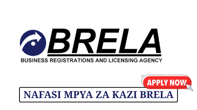 BRELA Tanzania Vacancies – May 2025