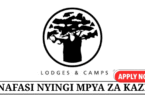 Baobab Lodges & Camps Vacancies May 2025