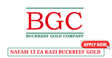 Buckreef Gold Mine Vacancies May 2025