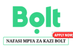 Business Development Manager at Bolt May 2025