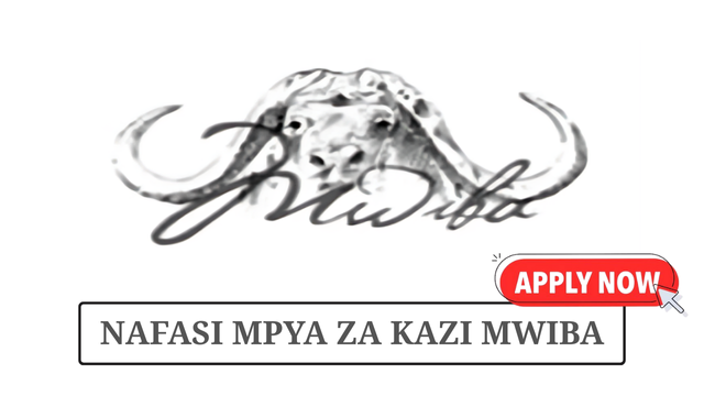  Civil Engineer at Mwiba Holdings Limited May 2025