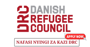 Danish Refugee Council Vacancies 2025