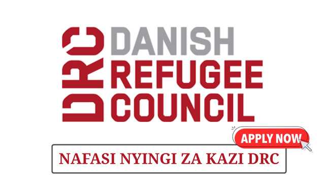 Danish Refugee Council Vacancies 2025