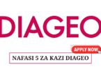 Diageo Tanzania Vacancies 2025