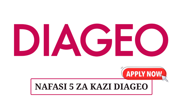 Diageo Tanzania Vacancies 2025