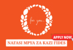 Fides Tanzania Ltd Vacancies May 2025