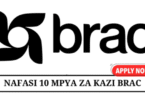 Finance and Accounting Job at BRAC Maendeleo Tanzania