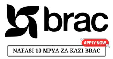 Finance and Accounting Job at BRAC Maendeleo Tanzania