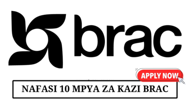 Finance and Accounting Job at BRAC Maendeleo Tanzania