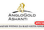 Geita Gold Mining Ltd (GGML) Vacancies 2025