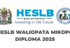 HESLB Waliopata Mikopo Diploma Loan Beneficiaries 2025
