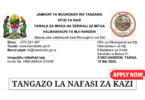 Handeni Town Council Vacancies May 2025