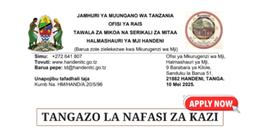 Handeni Town Council Vacancies May 2025