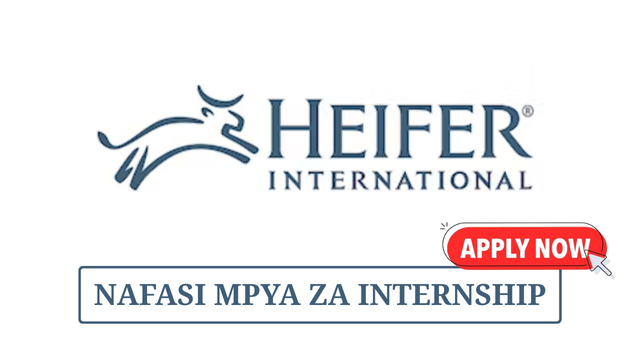 Heifer International Internship 2025