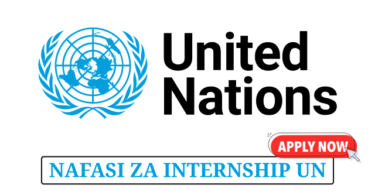 Human Resources Internship at the United Nations May 2025