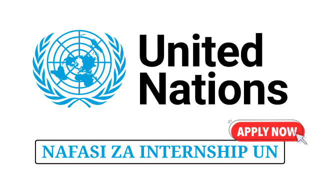 Human Resources Internship at the United Nations May 2025