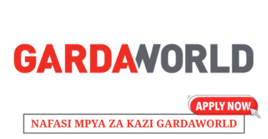 IT Support Team Leader at GardaWorld May 2025