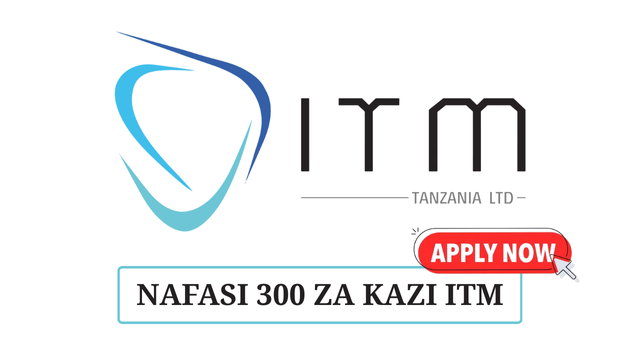 ITM Tanzania Limited Vacancies 2025