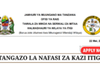 Itigi District Council Vacancies May 2025