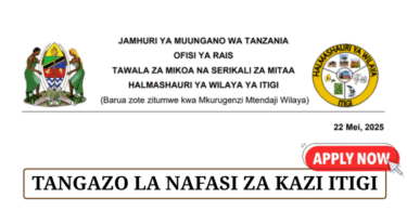 Itigi District Council Vacancies May 2025