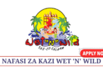Kunduchi Wet 'n' Wild Water Park Vacancies May 2025
