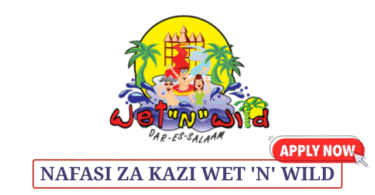 Kunduchi Wet 'n' Wild Water Park Vacancies May 2025