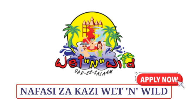 Kunduchi Wet 'n' Wild Water Park Vacancies May 2025