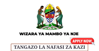 Ministry of Foreign Affairs Vacancies May 2025