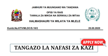 Mlele District Council Vacancies May 2025