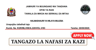 Muleba District Council Vacancies May 2025