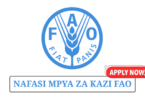 Project Coordinator at FAO Tanzania May 2025
