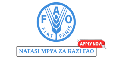 Project Coordinator at FAO Tanzania May 2025