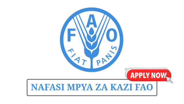 Project Coordinator at FAO Tanzania May 2025