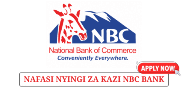 NBC Bank Tanzania Jobs 2025