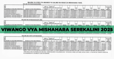 New 2025 Viwango vipya vya Mishahara Serikalini | Salary Scale