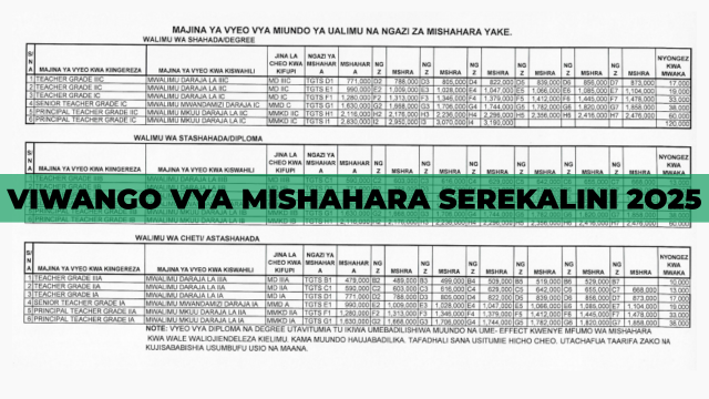 New 2025 Viwango vipya vya Mishahara Serikalini | Salary Scale